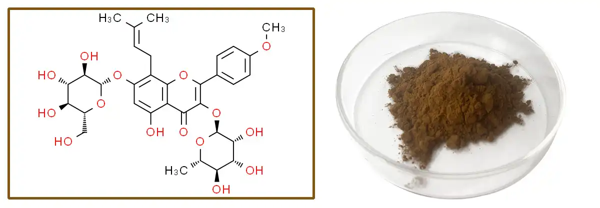 Epimedium Extract Suppier.jpg